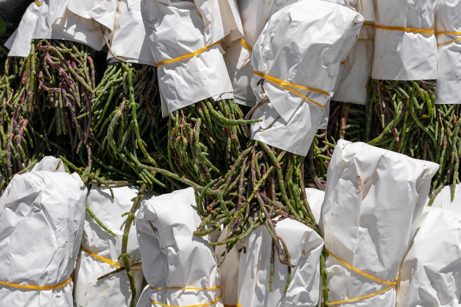 Freshly harvested samphire displayed at local market in early morning light photo
