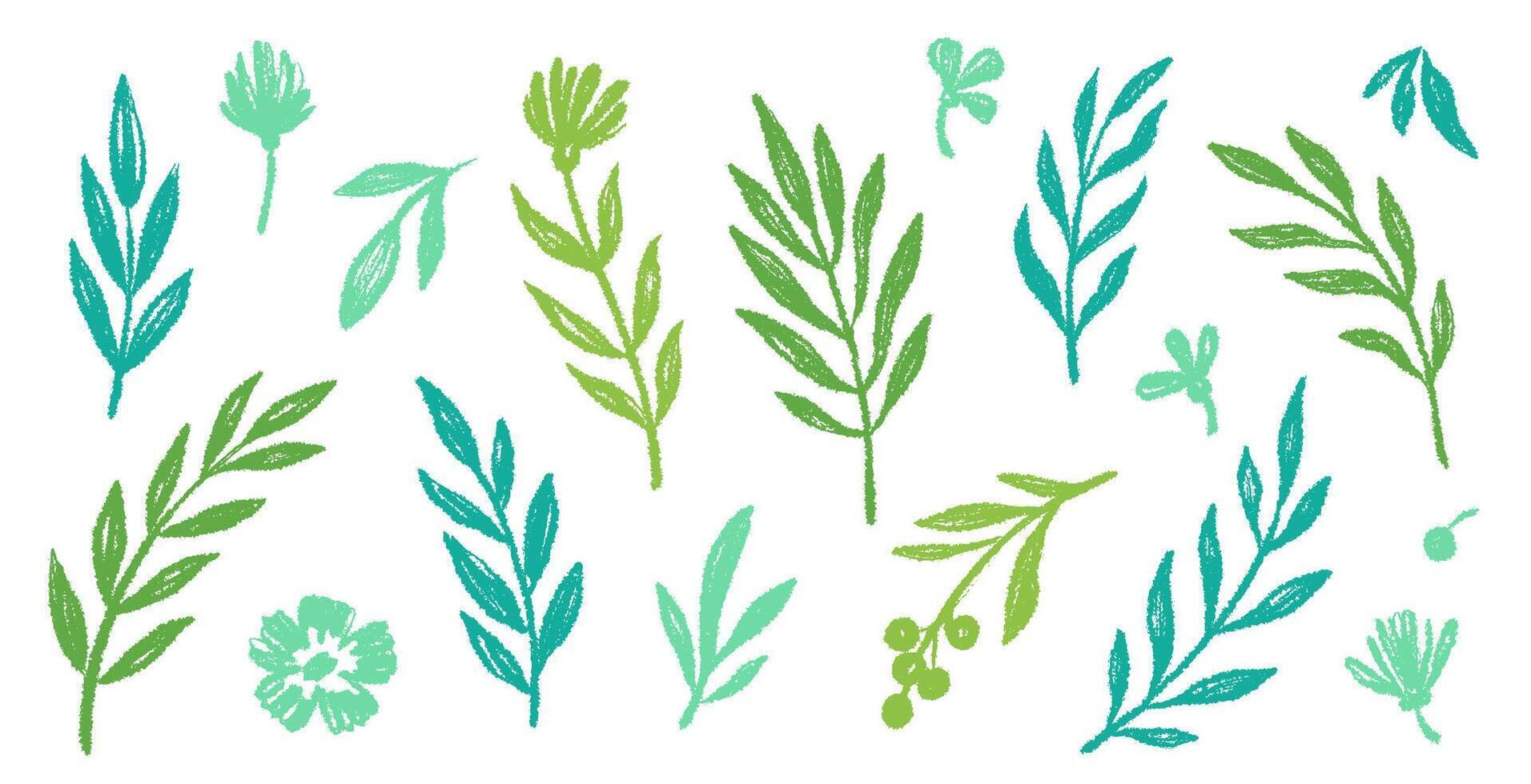 Leaf brush hand drawn ink elements. Green crayon texture brush abstract olive, flower, leaf abstract hand drawn illustration. Brush branch, botanical floral silhouette vector