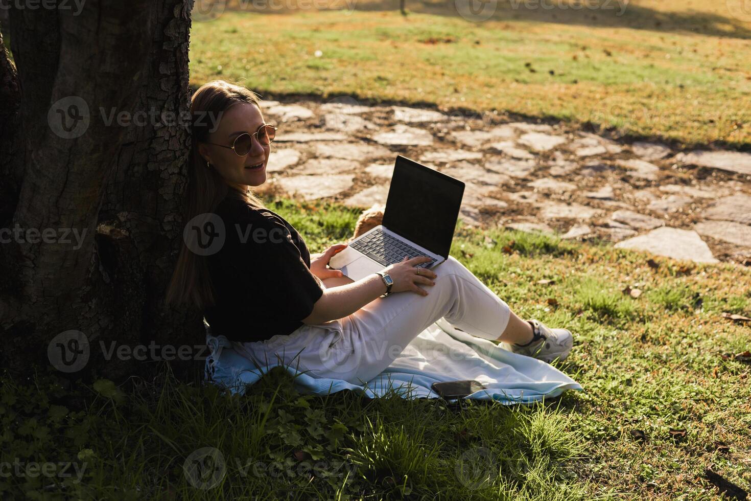 Cocker spaniel enjoys a sunny afternoon with its owner who works on a laptop in the park photo