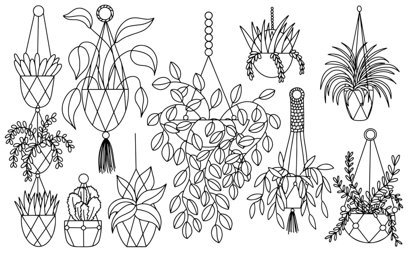 Macrame hanging home plants sketch set. Set of different home plants hanging vector