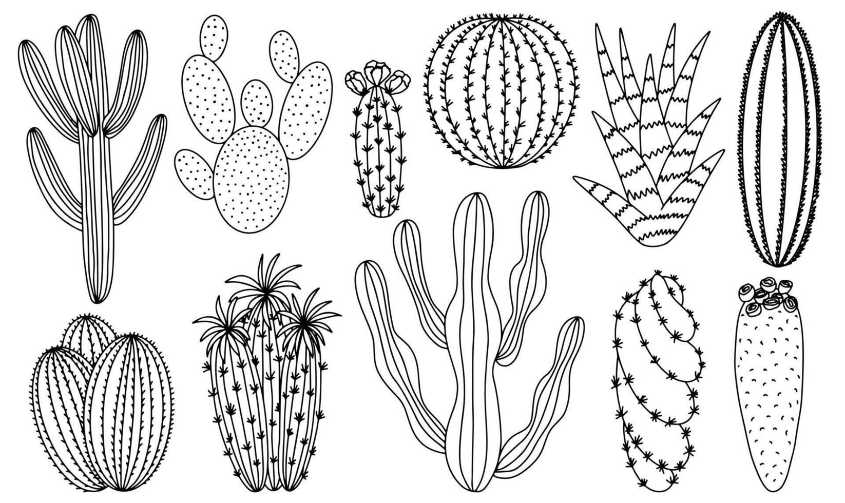 Cactus and succulents sketch set. Different cactuses and succulent home plants doodle set vector