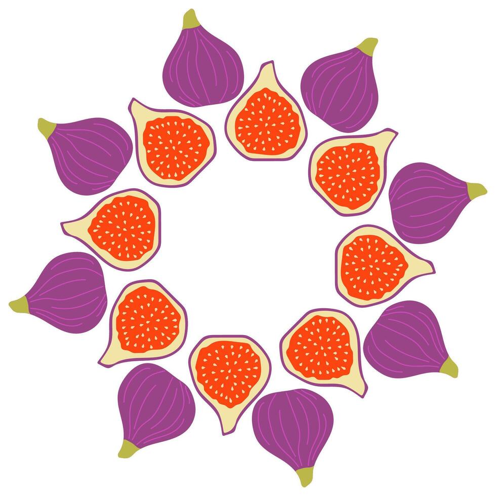 Colorful circular arrangement of ripe figs on a white background showcasing their texture and vibrant colors vector