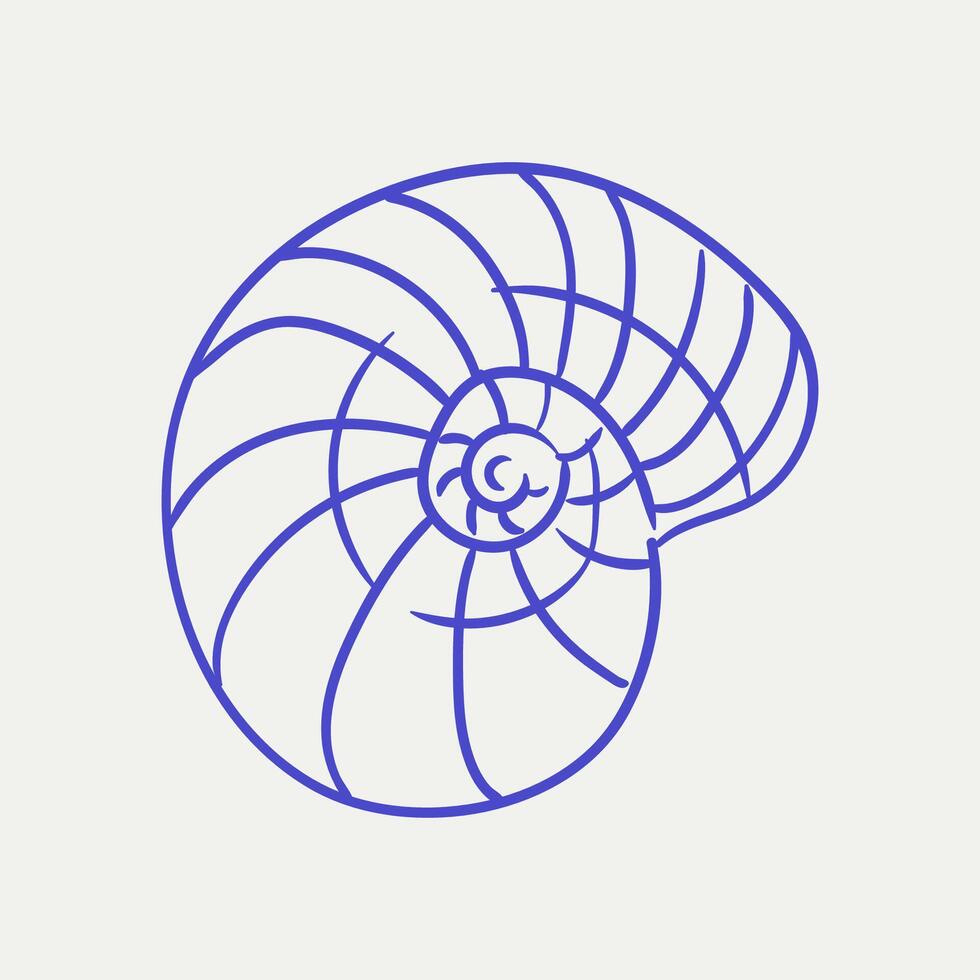 Colorful spiral shell design featuring intricate line patterns with a modern artistic touch vector