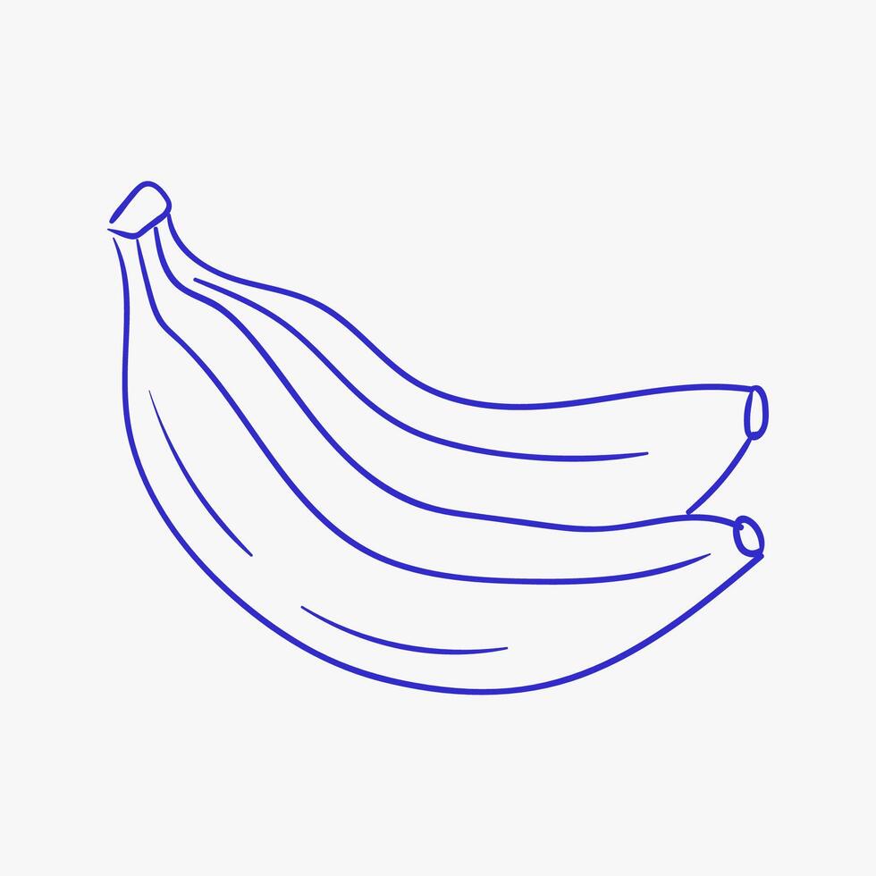 Two ripe bananas with a smooth curve displayed on a plain background for a simple and clean illustration of fruit vector