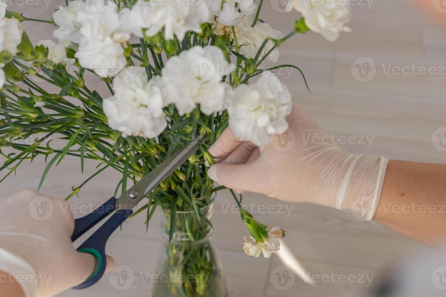 Pruning white carnations for a fresh floral arrangement home in sunny afternoon photo