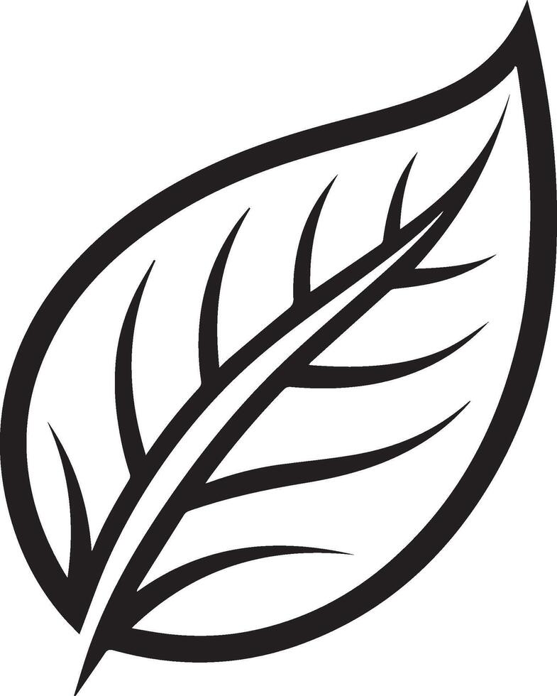 Leaf in black and white vector