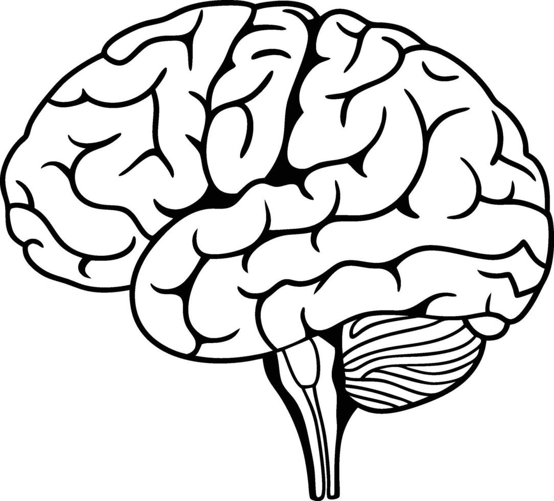 A human brain in a black and white vector