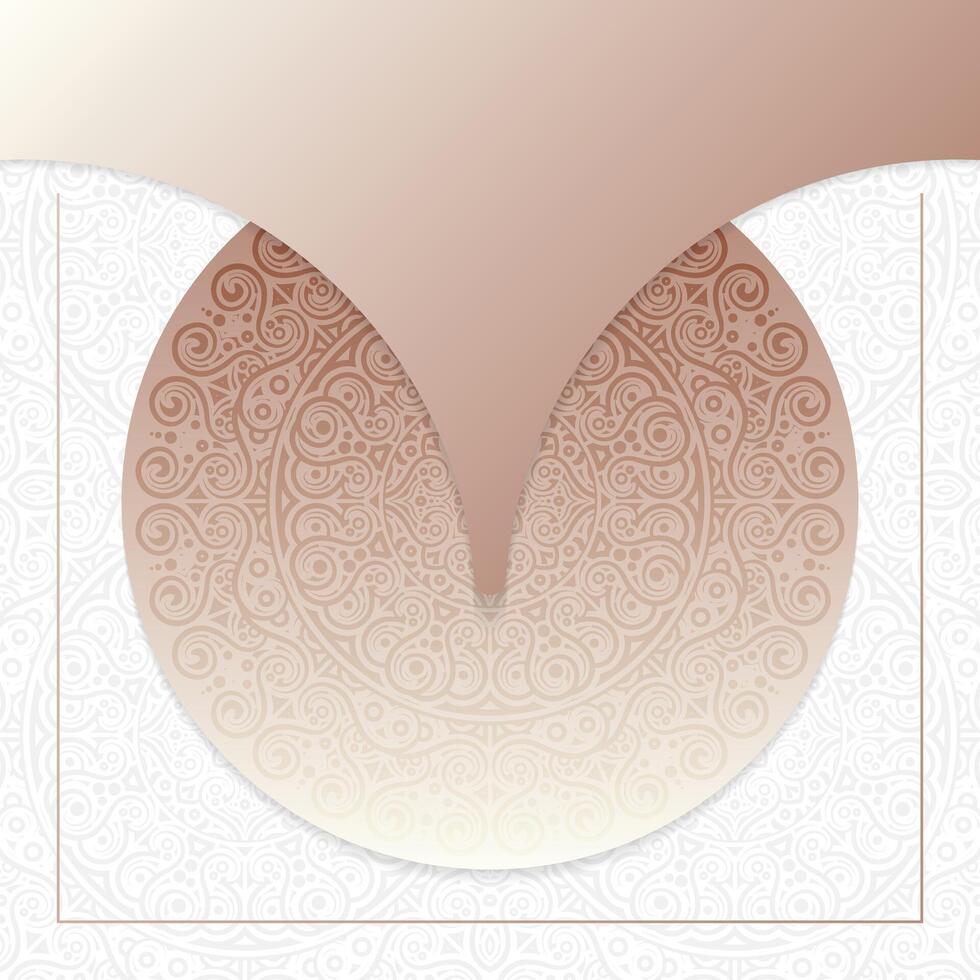 Elegant Mandala Pattern Background vector