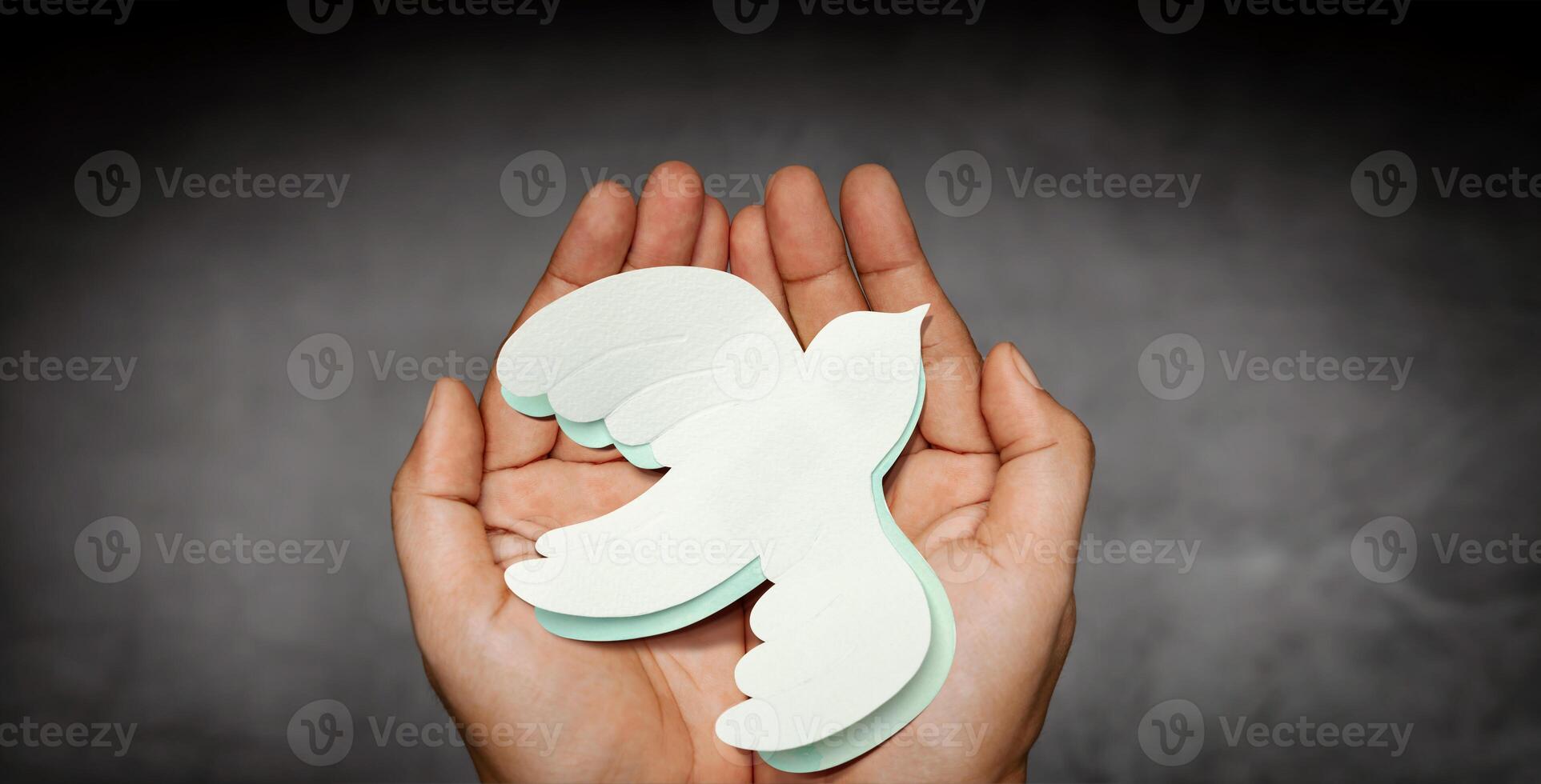 Hands Holding a White Paper Dove. Sign of Peace and New Beginnings of Hope. World International Peace Day. Top View. Dark tone photo