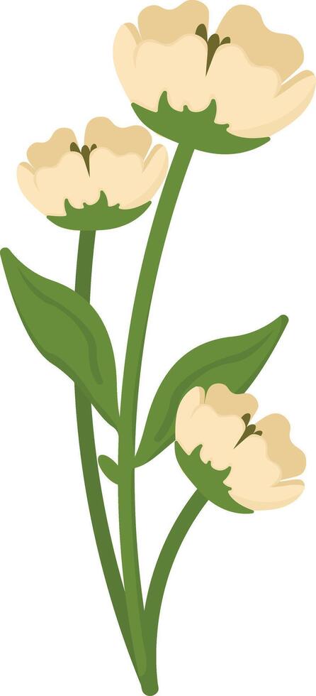 Cluster of Cream Flowers vector