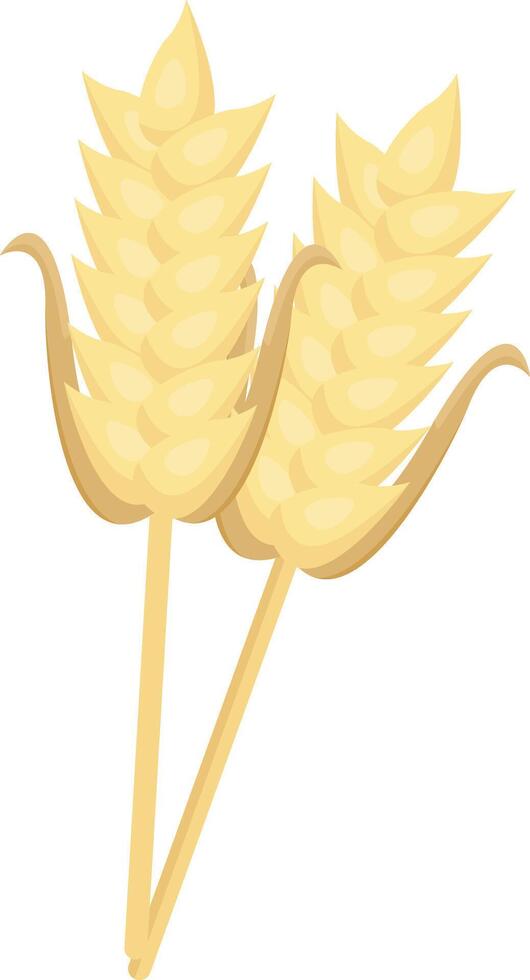 Stalks of Golden Wheat vector