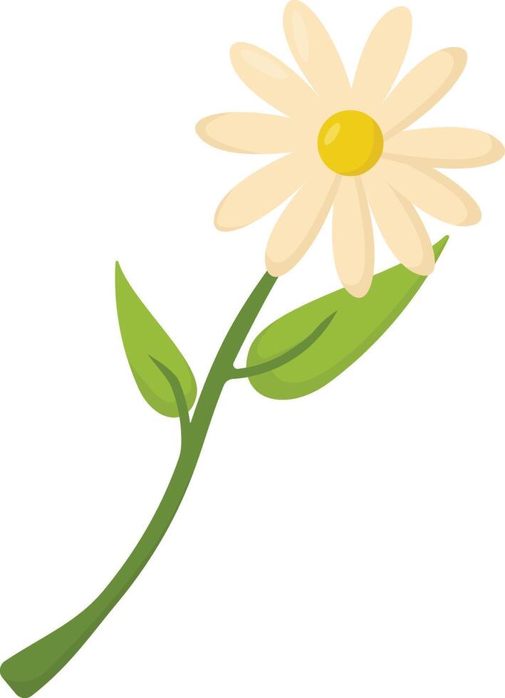 Simple Cream Daisy Bloom vector