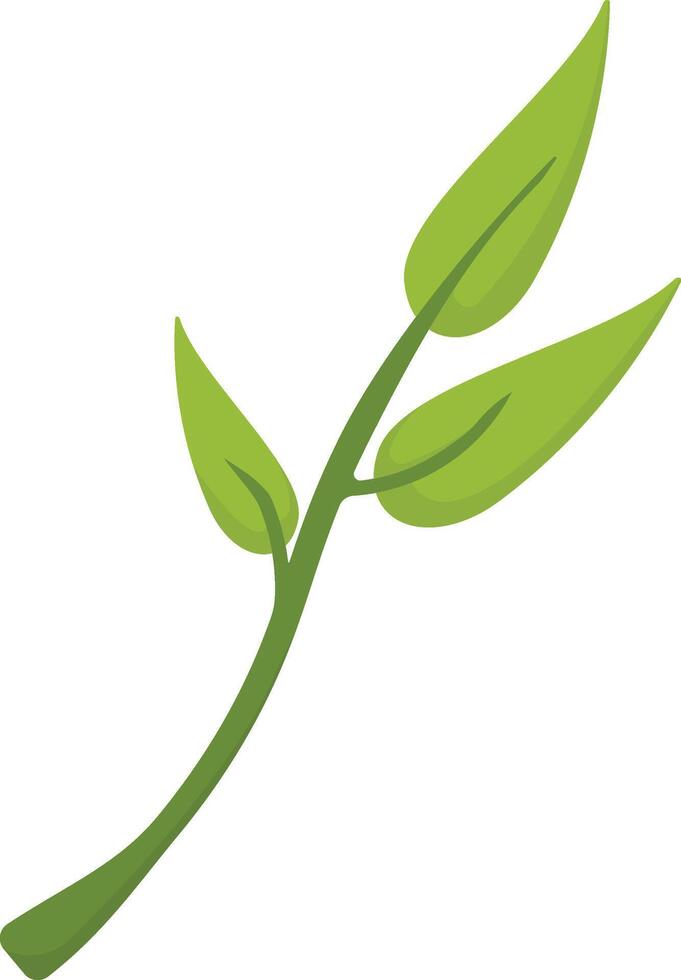 Simple Green Leaf Stem vector