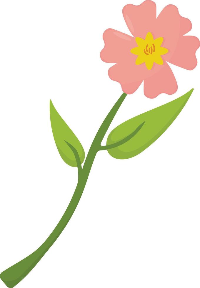 Single Pink Bloom vector