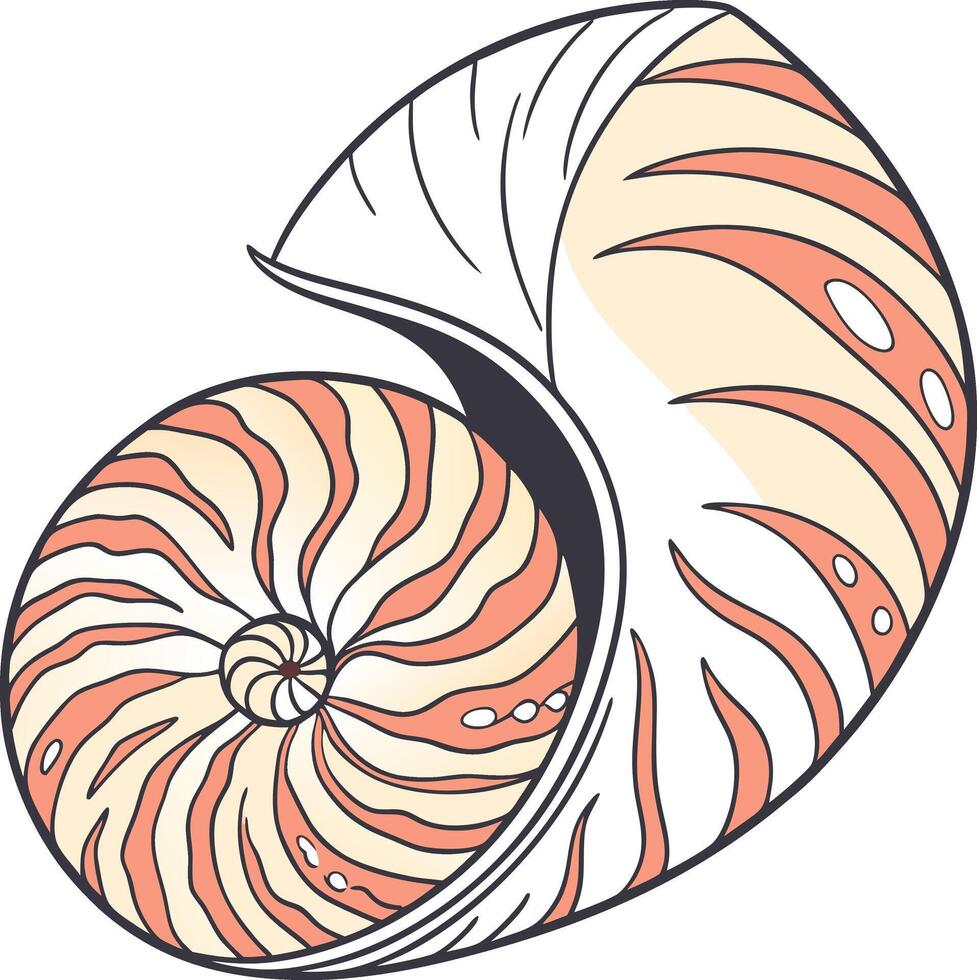 Artistic Conch Shell Color Design vector