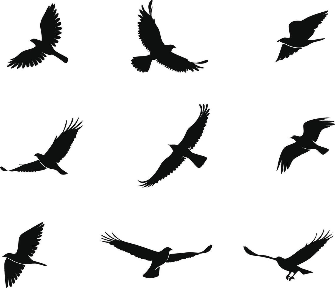 Hand Drawn Birds Set Design for Designers vector