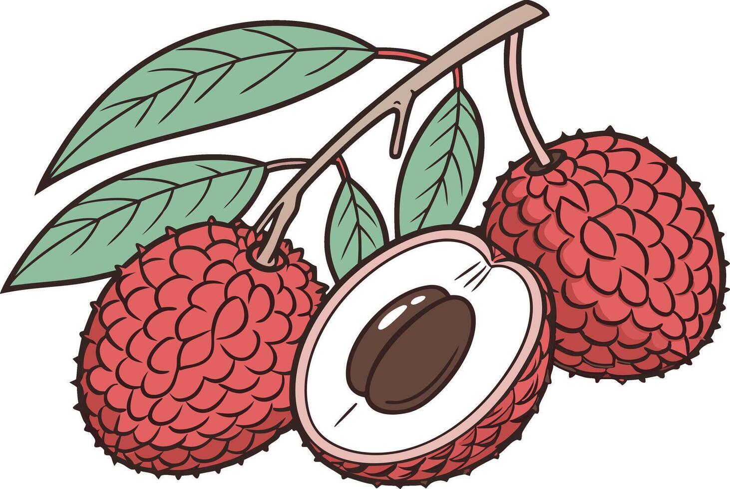 Lychee Tropical Modern Colored Artwork vector