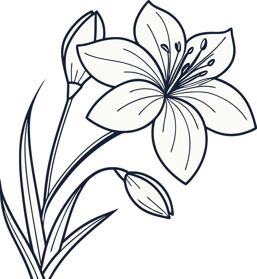 Minimal Flower Outline Design for Printing vector