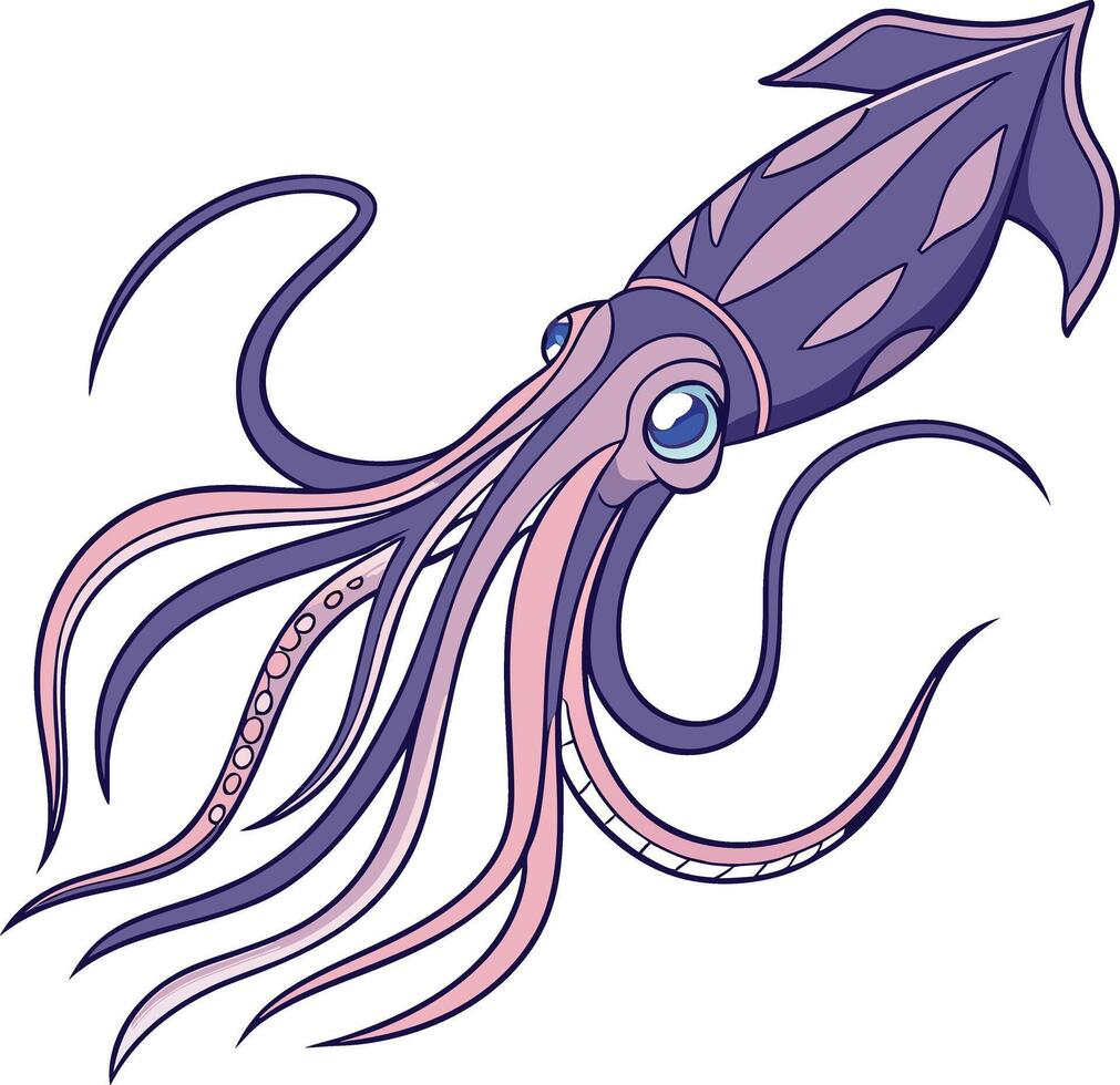 Colored Squid Design Illustration vector