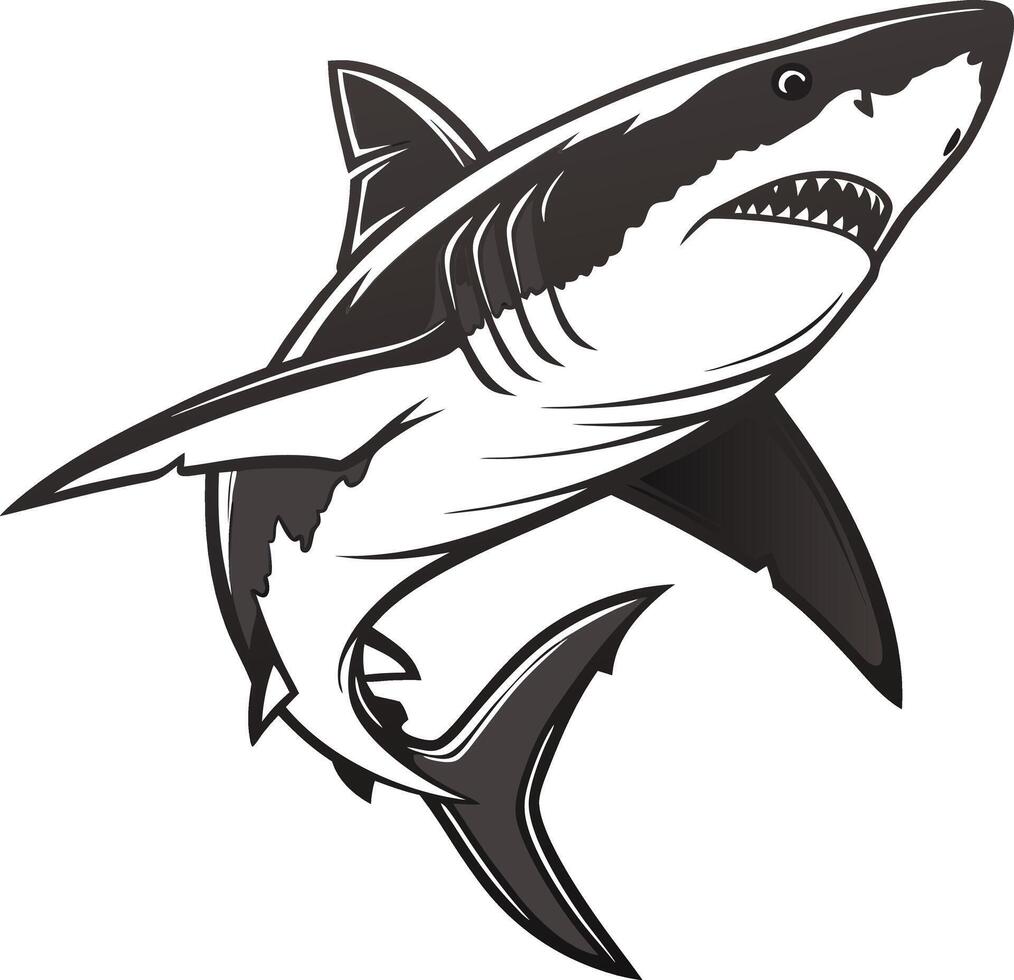 Colorful Shark Fish Graphic Design vector