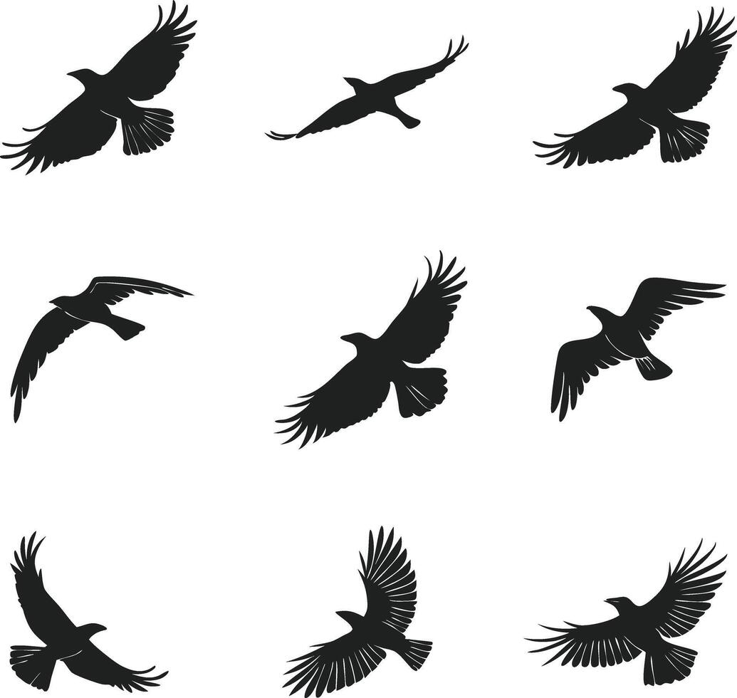 Modern Birds Set Design for Art and Craft vector