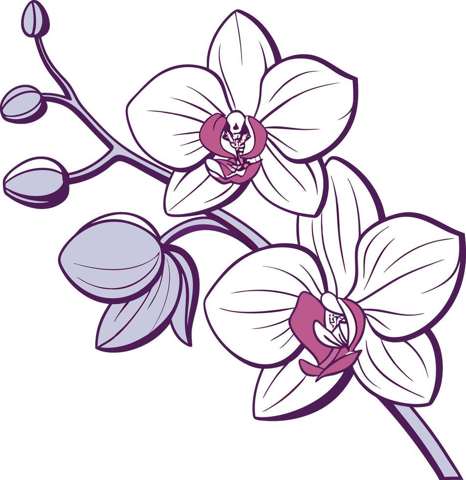 Unique Colored Orchid Design vector