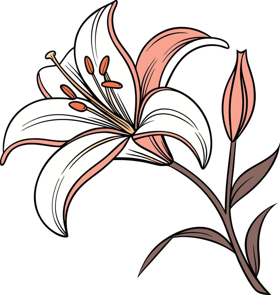 Colorful Lily Graphic Design vector