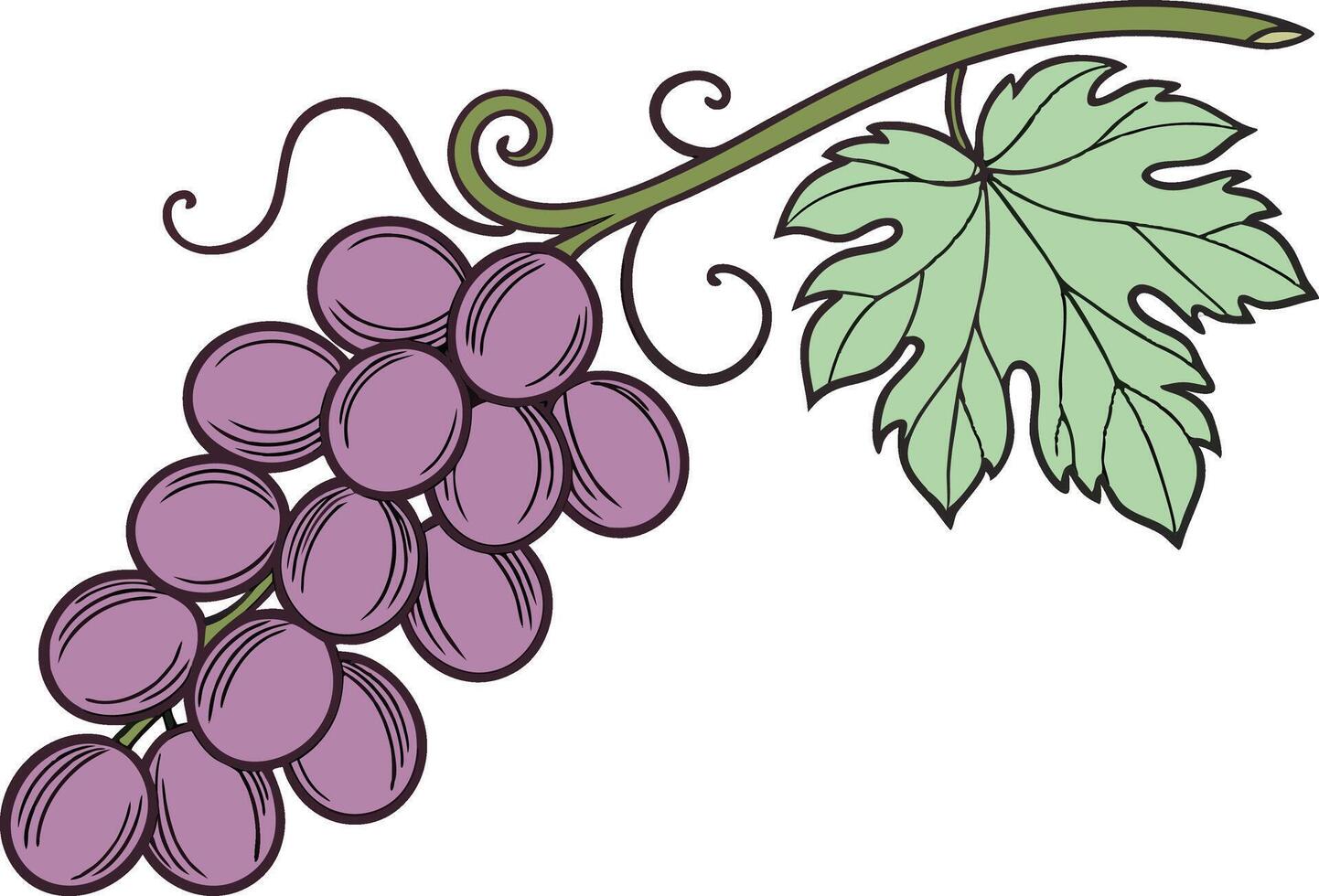 Bright Grape Colored Design Art vector