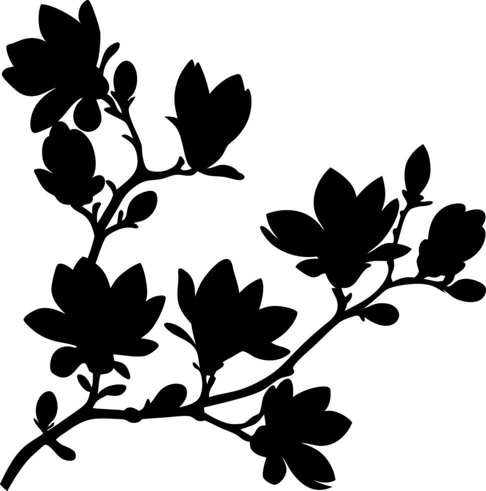 Magnolia Flower Branch Silhouette, Floral Element, Botanical Design, Black Shape, Nature vector