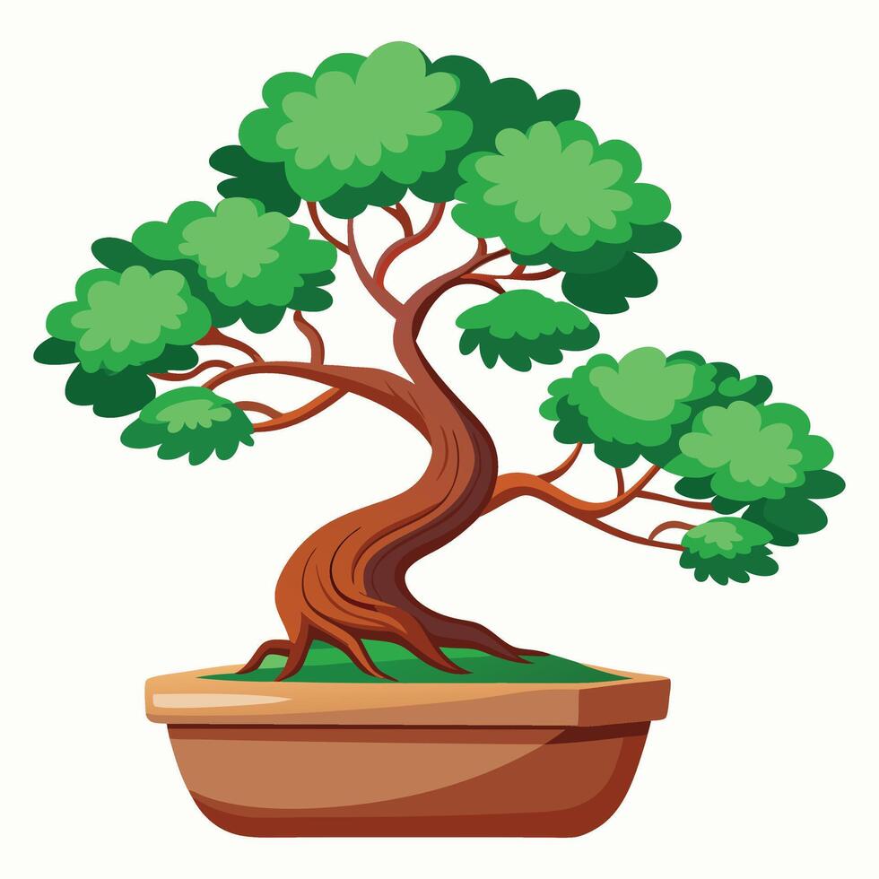 Bonsai clipart on white background vector
