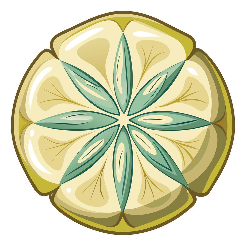 Sand Dollar on white background vector