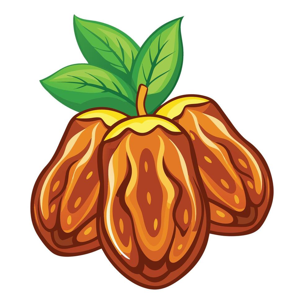 Dates clipart on white background vector