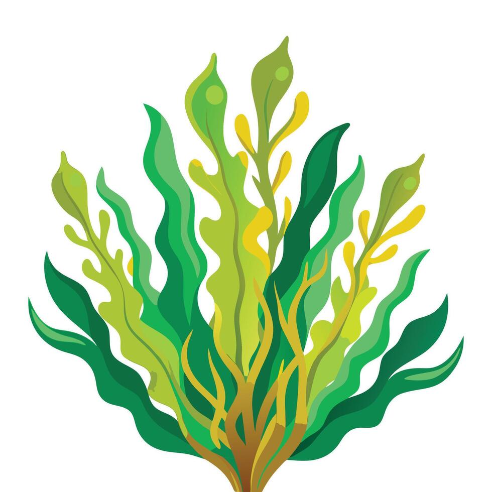 Kelp Clipart on white background vector