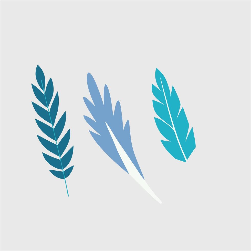 Feathers of Nature Symbolize Flight Grace and Weightlessness Concept vector