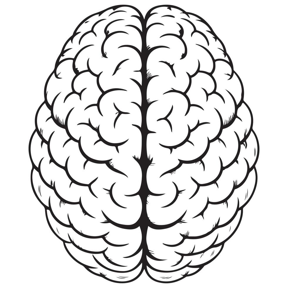 Brain shape silhouette clean and simple style vector