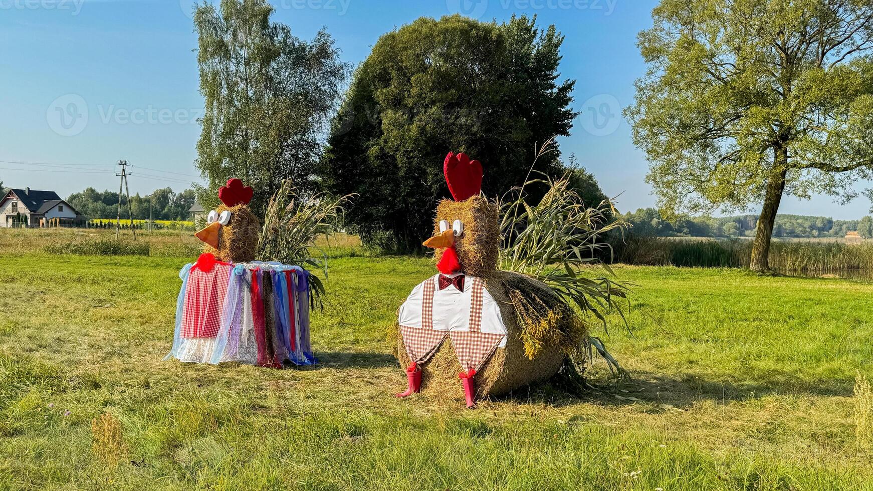 Creative hay bale art with chicken figures in rural field featuring colorful costumes and clear blue sky on a sunny day with green grassy landscape photo