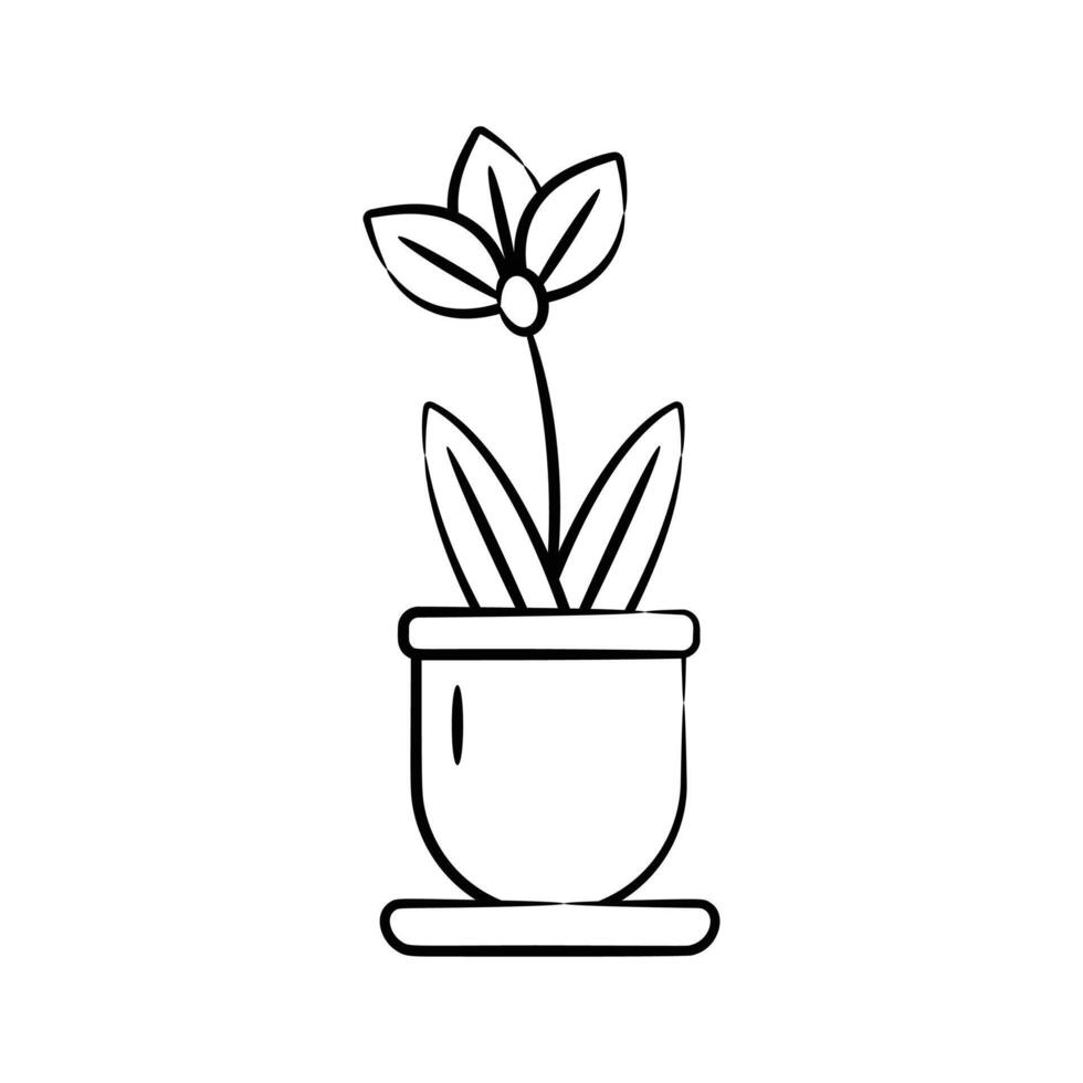 Easy to edit hand drawn icon of orchid pot vector