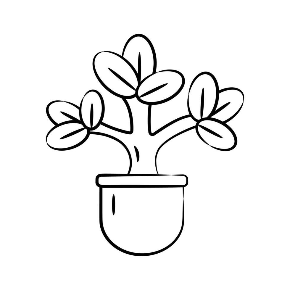 Get a glimpse our hand drawn icon of jade plant vector