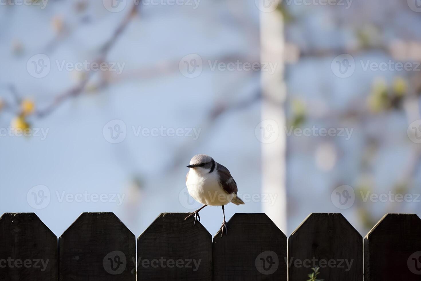 Cottagecore bird perched on old country fence photo