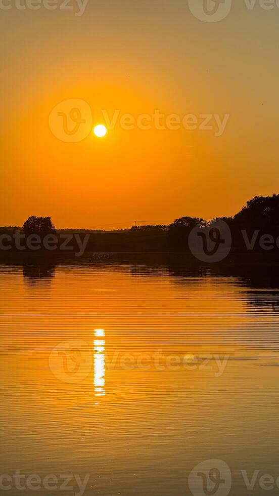 Golden sunset reflecting on tranquil lake with silhouetted trees creating a serene and peaceful natural landscape photo