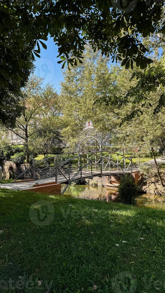 Charming wooden bridge in a sunlit park surrounded by lush greenery and tranquil stream on a bright clear day photo
