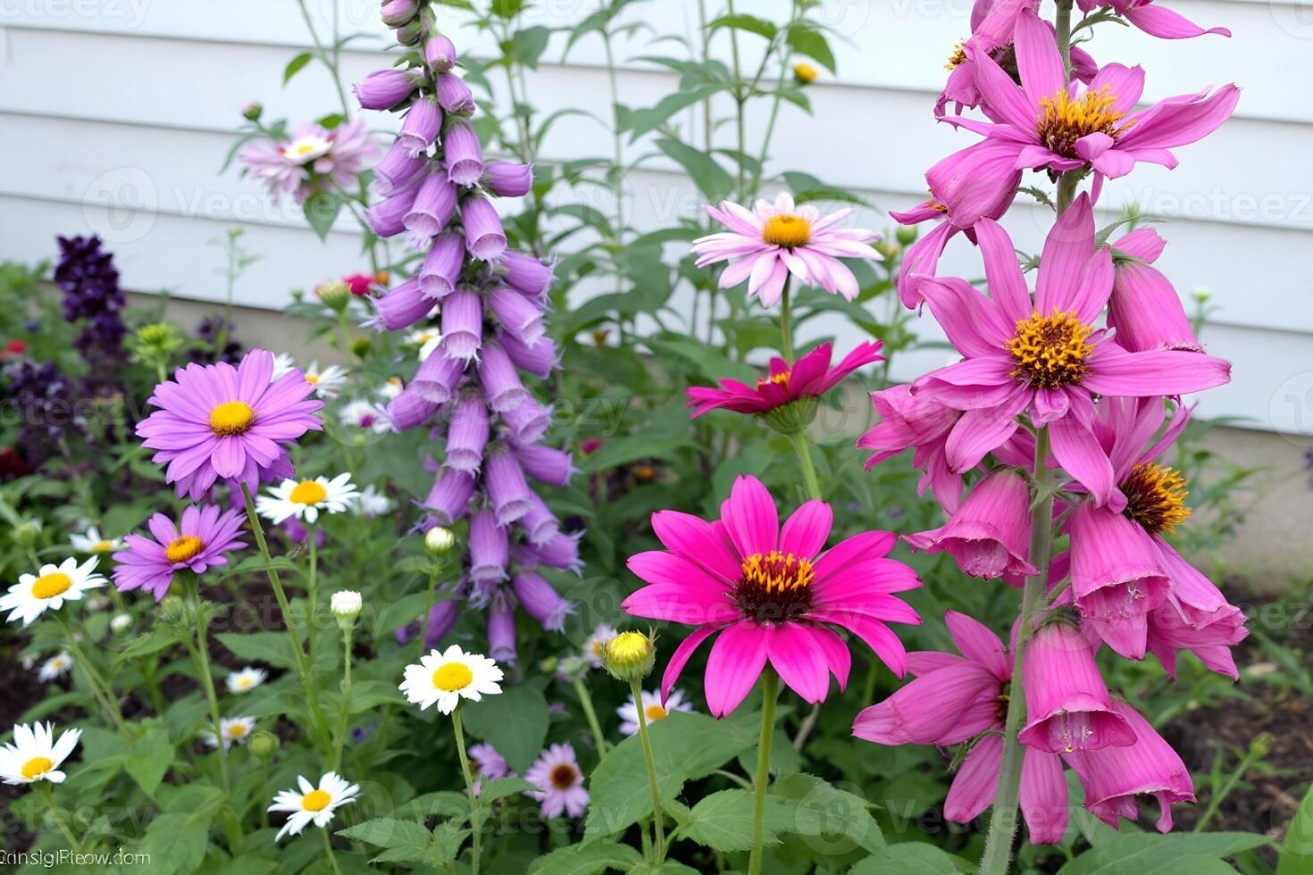 cottagecore butterfly garden with daisies and foxgloves photo