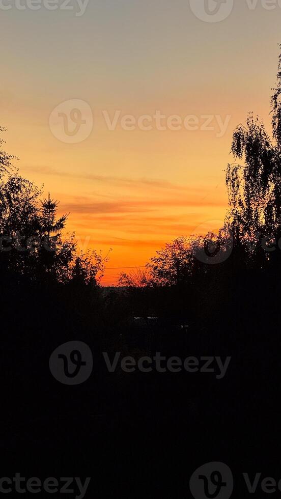 Stunning orange and yellow sunset with silhouetted trees in a peaceful evening landscape captured over the horizon of a quiet countryside photo