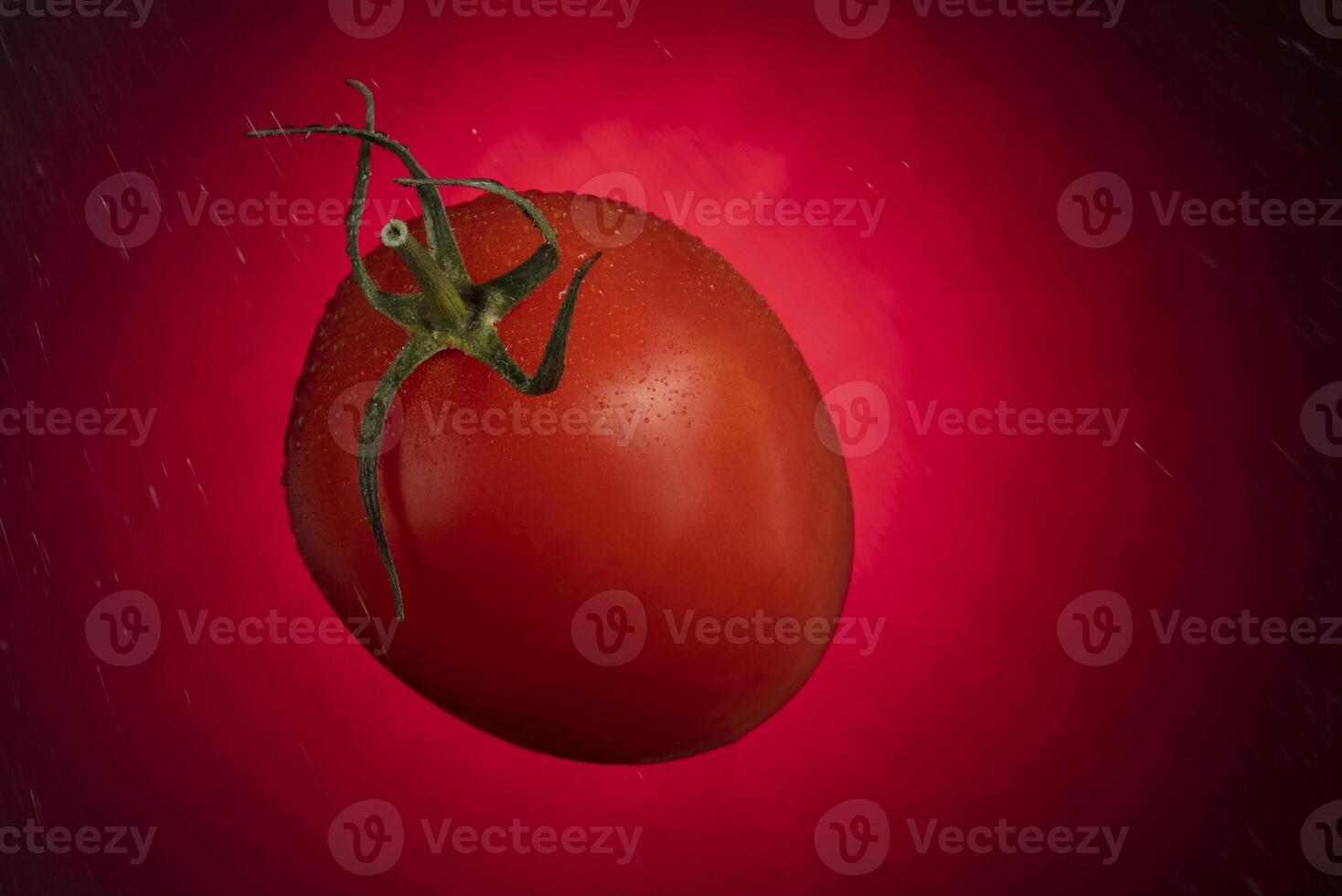 Red tomato with water drops on a red background. photo