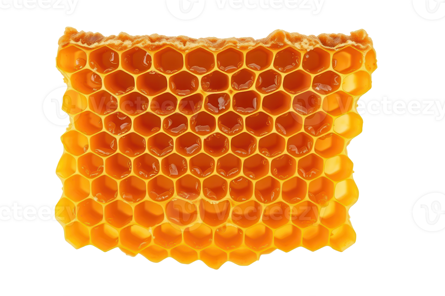 Golden honeycomb section with sweet natural honey isolated on a transparent background png