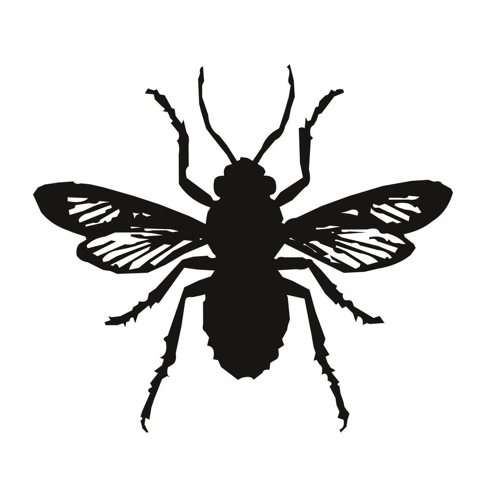 Insect black silhouette vector