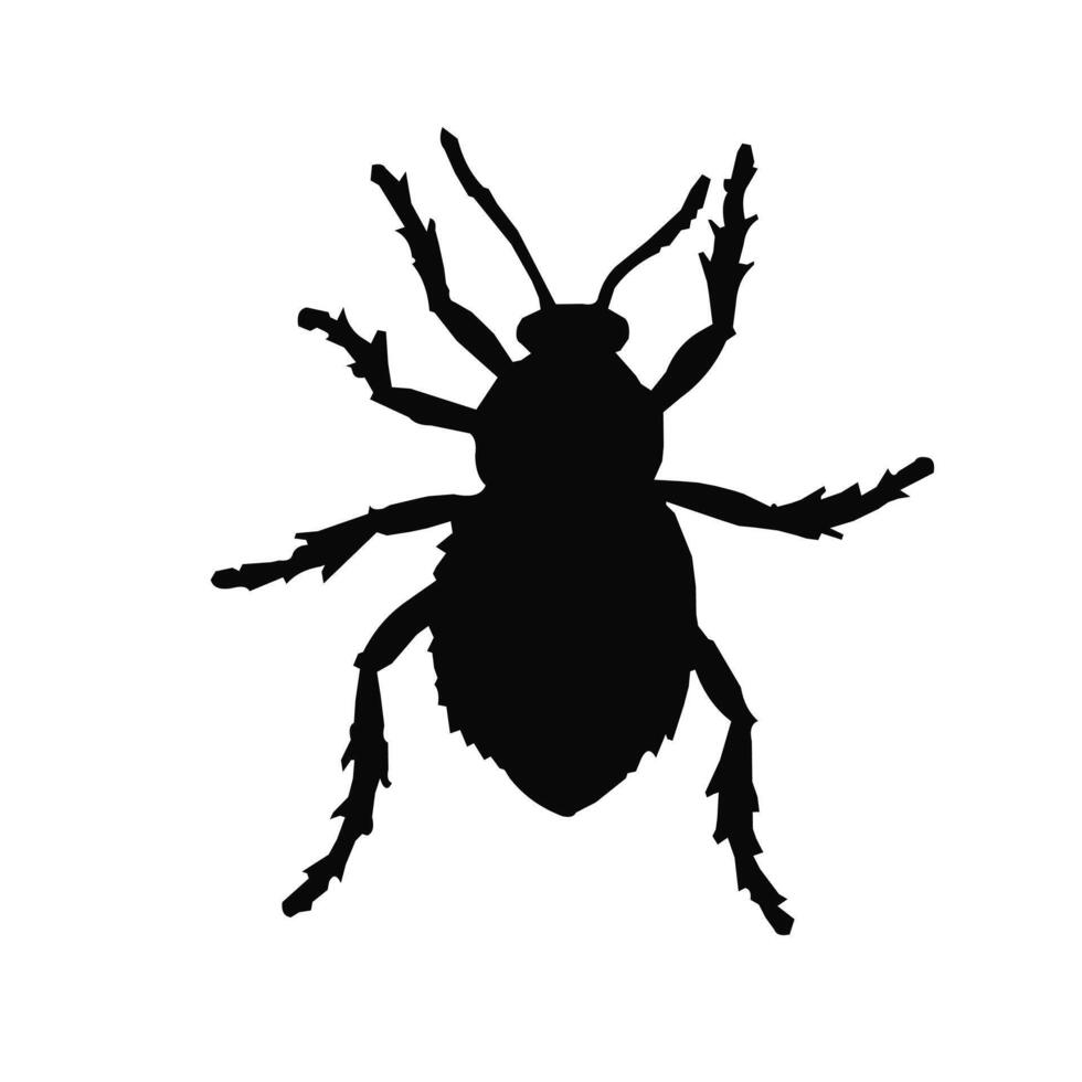 Bug silhouette illustration white background vector