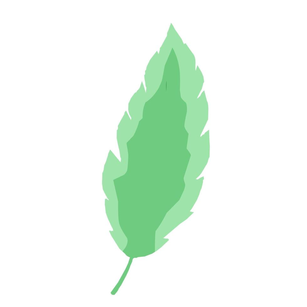 a green leaf on a white background vector