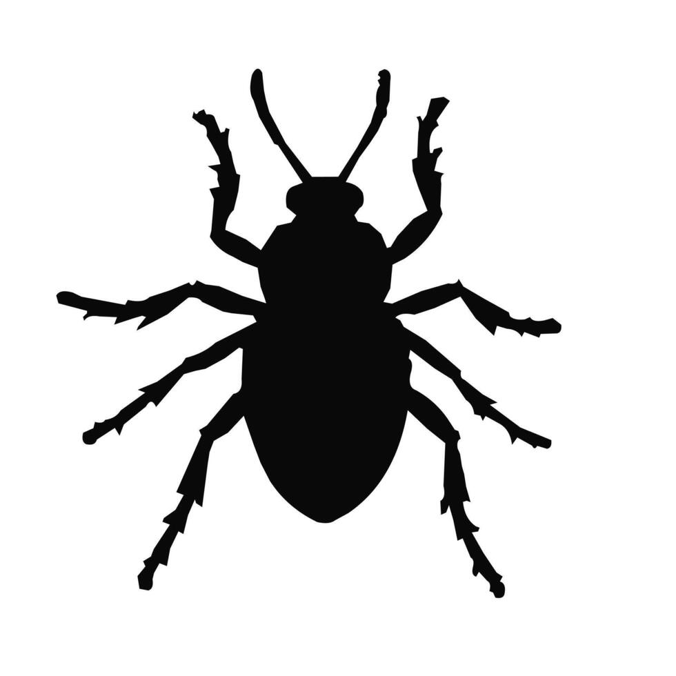 Bug silhouette insect illustration vector