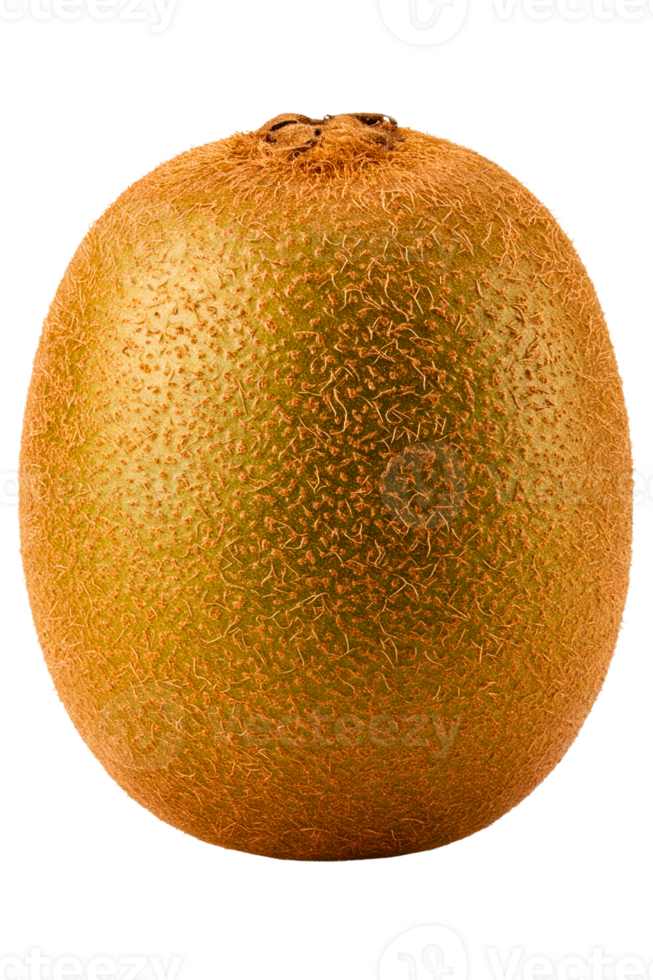 Single whole ripe kiwi fruit with fuzzy skin isolated on a transparent background png